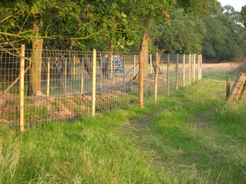 Wooden and mesh fencing in field