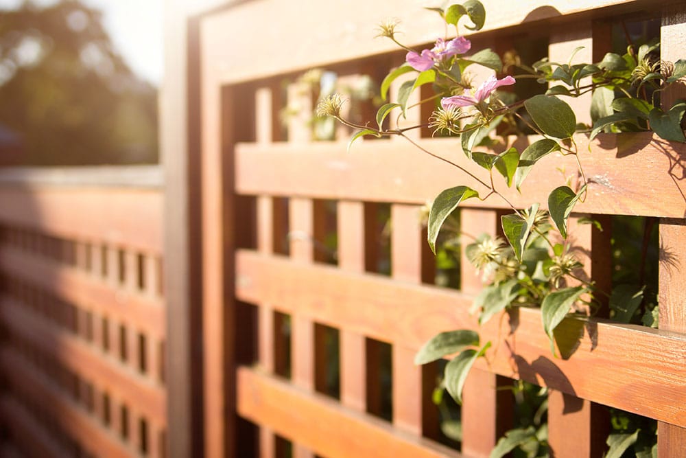 Wooden fencing with flowers